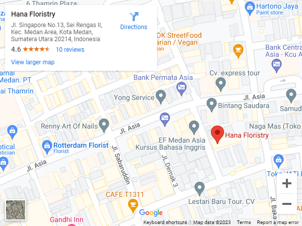 google maps embed location